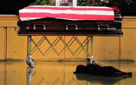 grief, grieving, dogs and grief, mourn, funeral, death