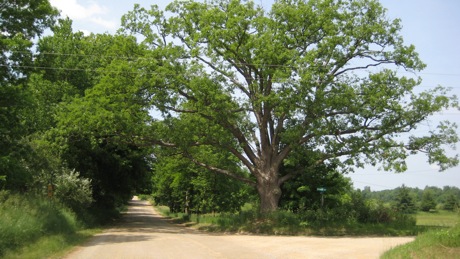 Today I Asked Myself: What is Grief?