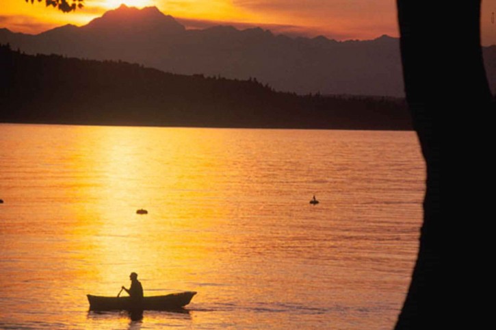 “Between Going and Coming” by Octavio PazReading Octavio Paz's "Between Going and Coming" as a reaction to death