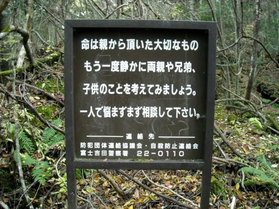 Aokigahara suicide forest japan japan death forest