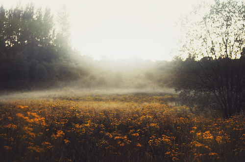 But What Does Death Sound Like? Saskia Moore’s “Dead Symphony”The Australian artist interviewed those who had near-death experiences to compose an unparalleled symphony