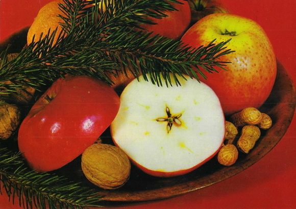 cut apples, stars, four-pointed crosses, Czech Christmas tradition