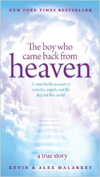 The Boy Who Came Back From Heaven book cover