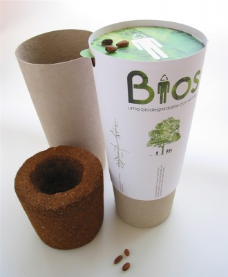 Bios Urn: The Biodegradable End-of-Life OptionWe explore the inspiration, innovation and big plans of Estudimoline's newest "eco-death" company