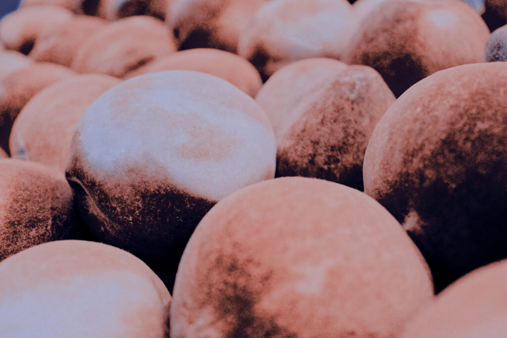 peaches for someone who refuses food at the end of life