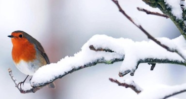 When A Child Has A Terminal IllnessReflections on a short, full life