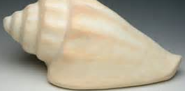 Our Weekly Tip: Water-Soluble and Eco-Friendly Urns for Cremated AshesThe environmentally friendly option for water scattering and burial of your loved one's cremains