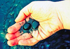 Our Weekly Tip: Carry Big Memories in a Tiny StoneCarry your loved one with you in your pocket