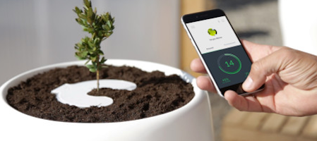 Bios Incube Turns Your Loved One Into A Tree To Keep CloseNew technology turns cremains into life after life