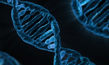 Could This “Death Gene” Take Four Years Off Your Lifespan?Scientists have discovered a series of genetic mutations that could cause early death