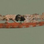 Spirit canoe