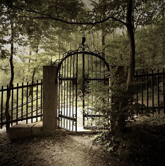 Why are there gates around cemeteries? Because everyone’s dying to get in!-Anonymous