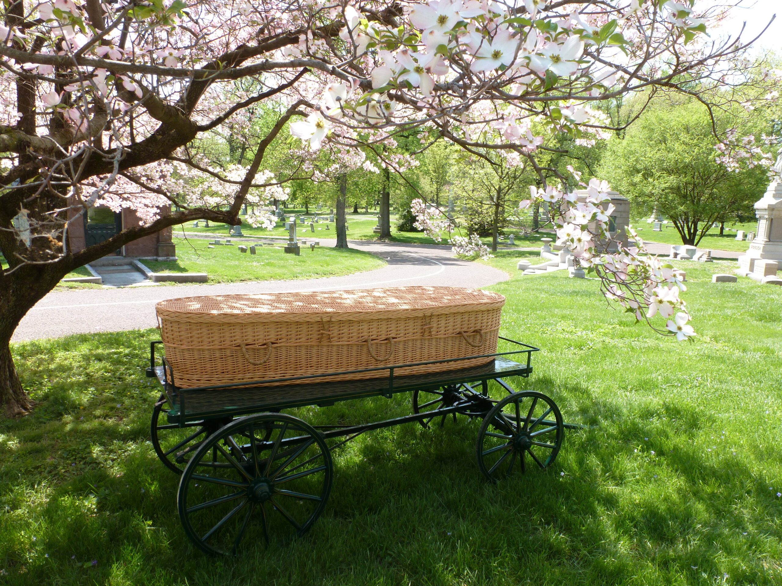 What is the Current State of the Funeral Home Industry? An Interview with Glenda Sheffield (Interview)A funeral home director offers her thoughts about the funeral home industry and its changing landscape