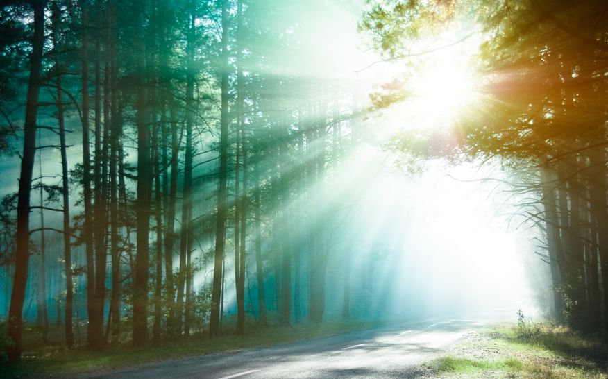 “Most people can’t bear to sit in a church for an hour on Sundays. How are they supposed to live somewhere very similar to it for eternity?”-- Mark Twain