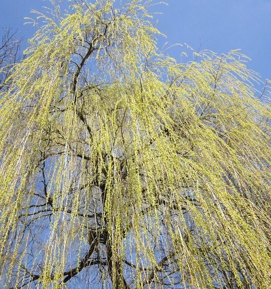 Who Cares for the Caregivers?Millions of family caregivers across the United States feel abandoned and alone