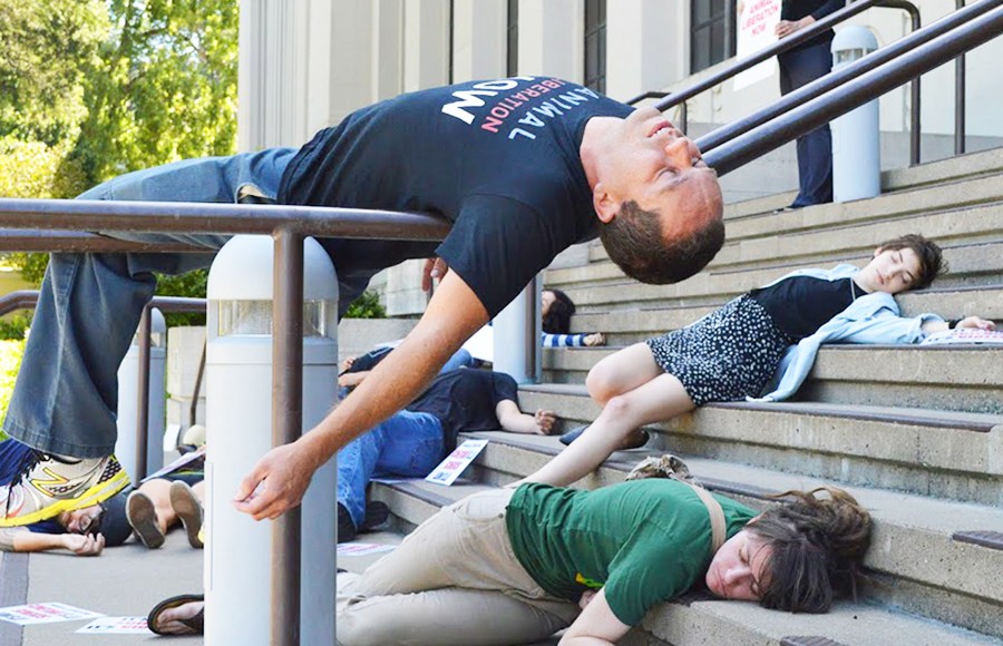 Die in protest at UC Berkley
