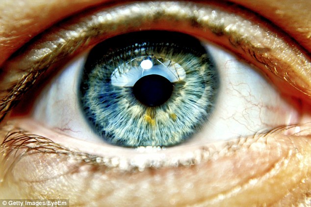 “It is often said that before you die your life passes before your eyes. It is in fact true. It’s called living.”- Terry Pratchett