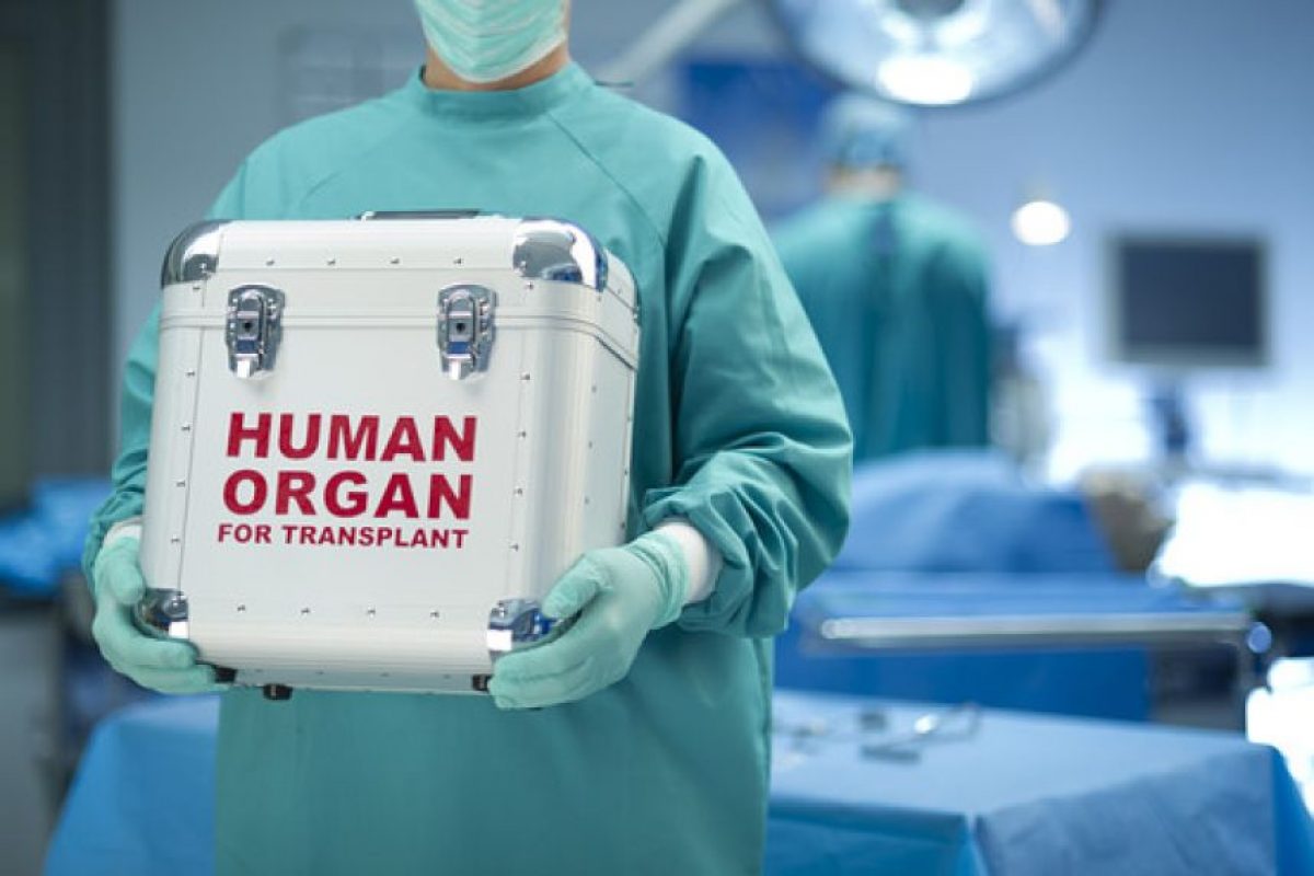 donor organ being carried by a doctor after opt-out organ donation