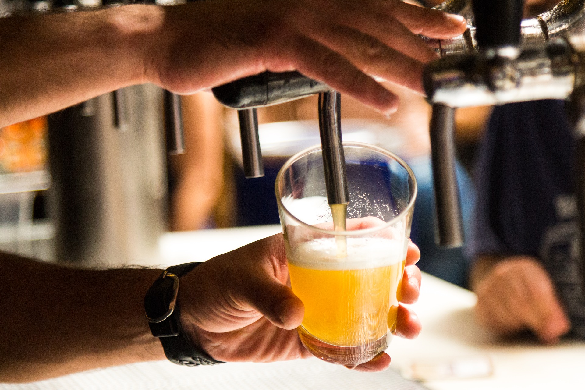 Draft beer being poured at a bar.