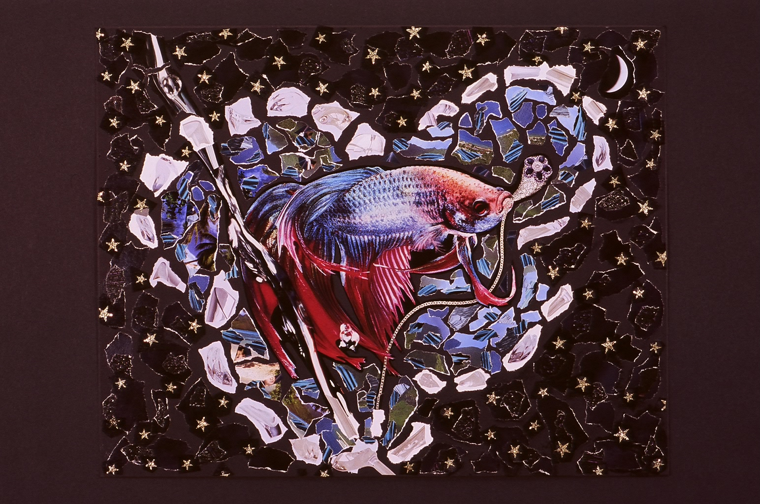 A collage of a goldfish from Artful Grief