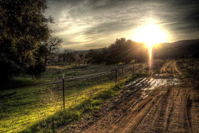“Dying is a wild night and a new road”- Emily Dickinson
