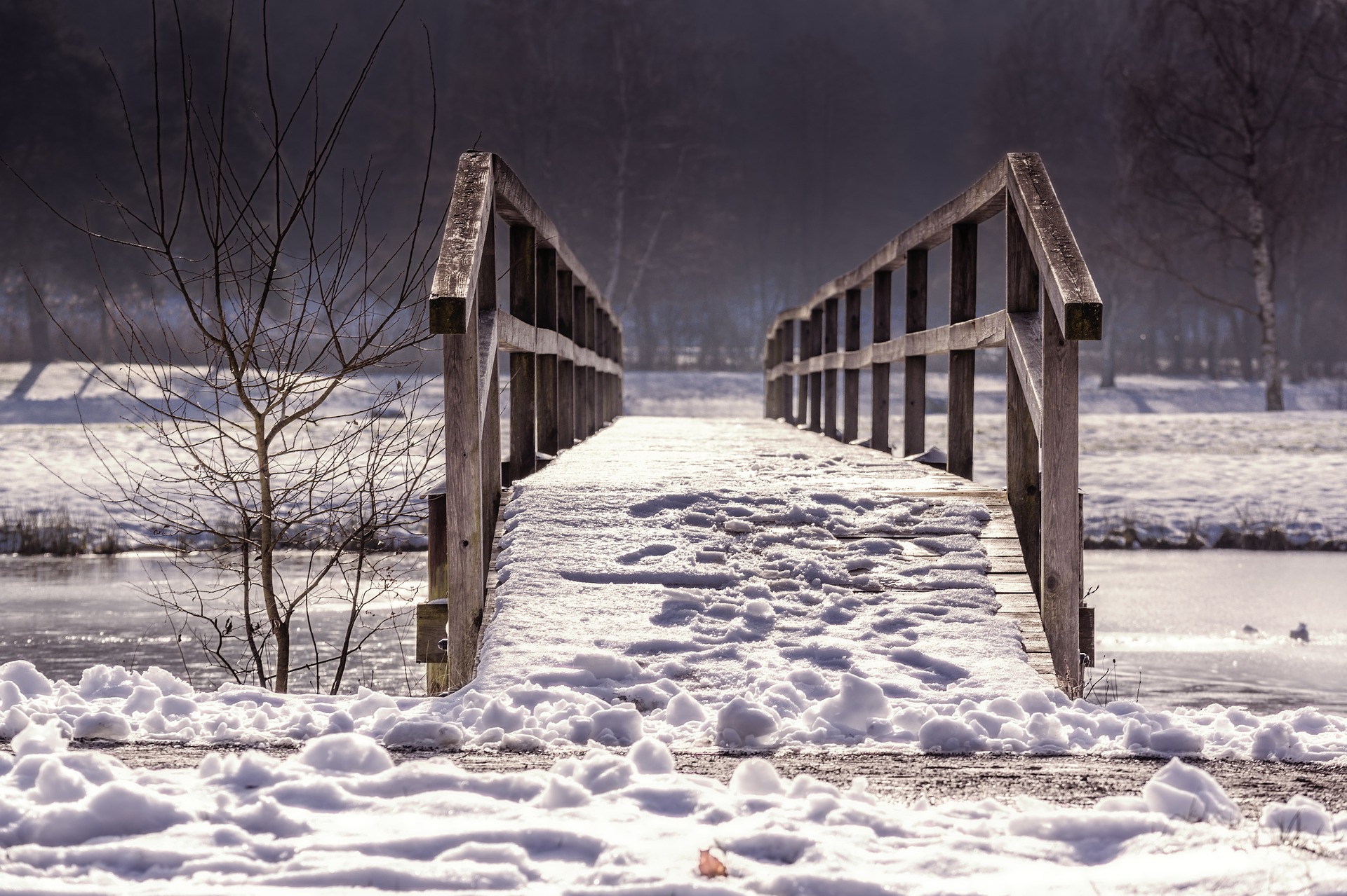 “Life is pleasant. Death is peaceful. It’s the transition that’s troublesome.”- Isaac Asimov
