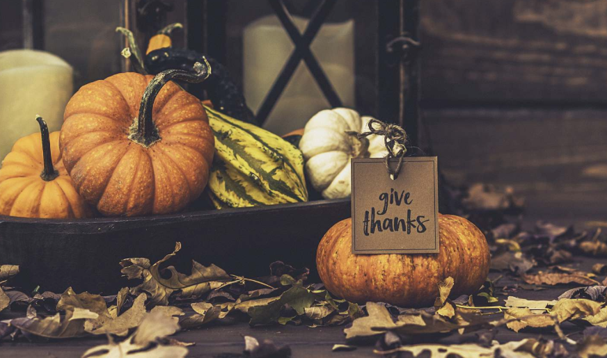 Wishing Our Readers a Thanksgiving Filled With Gratitude~ From everyone at SevenPonds
