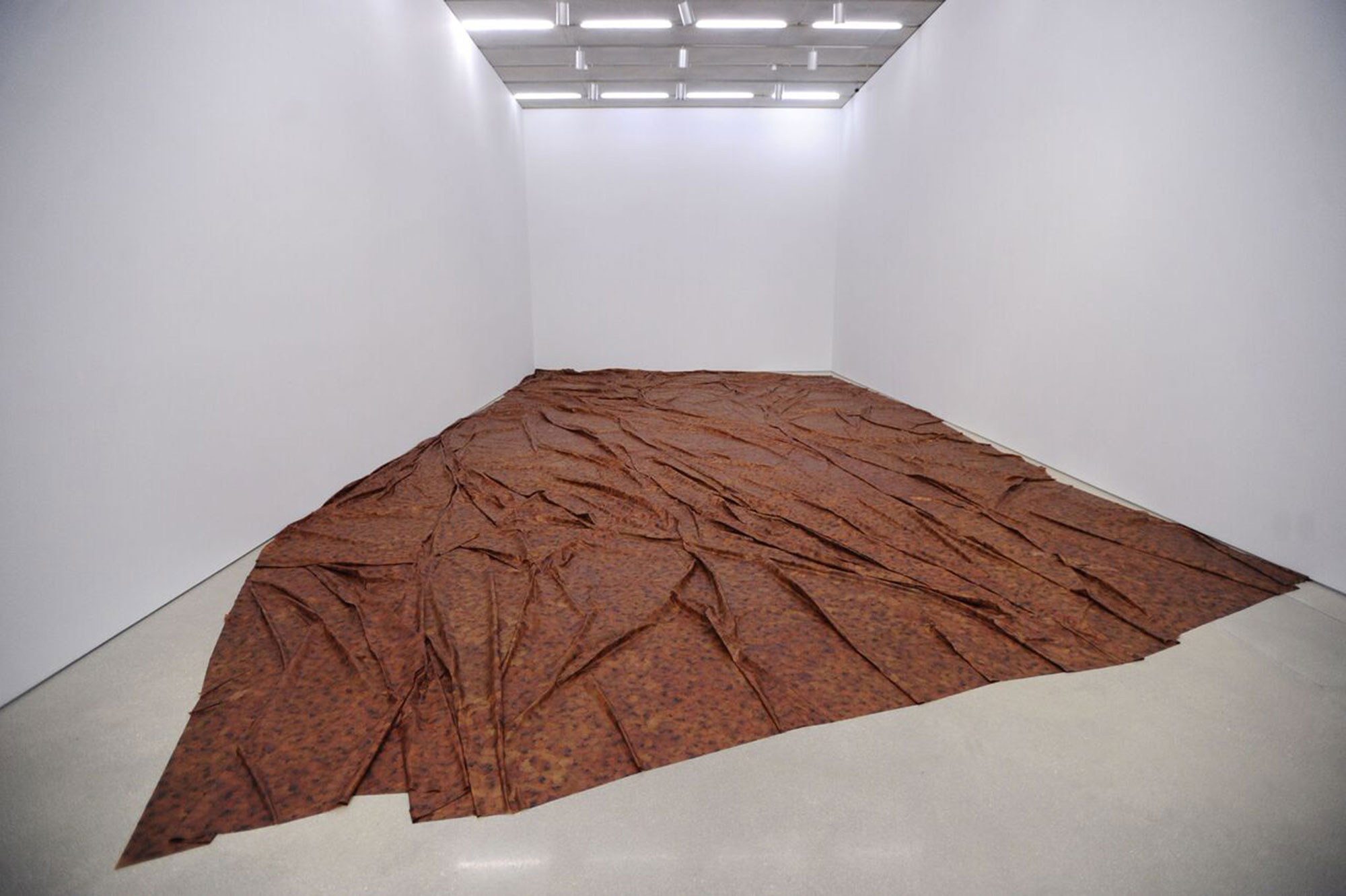 Rose petals made into a shroud by Doris Salcedo