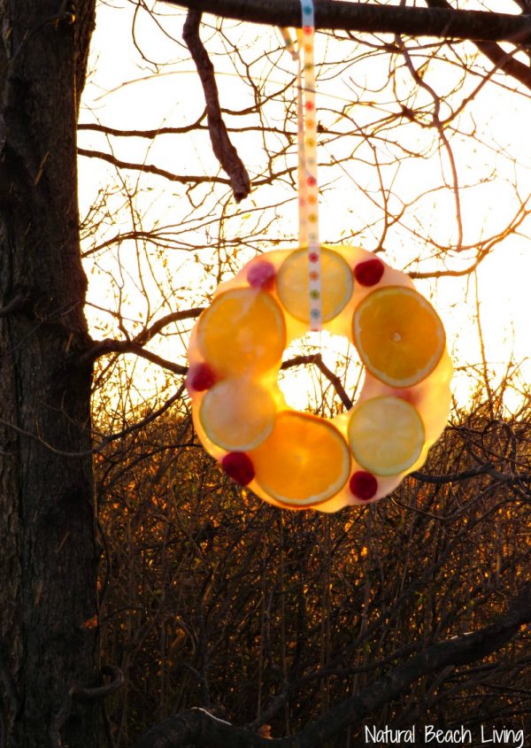 A bird feeder featuring fruit