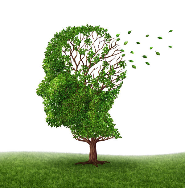 Diabetes Drug Shown To Reverse Memory Loss In Mice With Alzheimer’sThe drug could eventually be used to treat humans with dementia