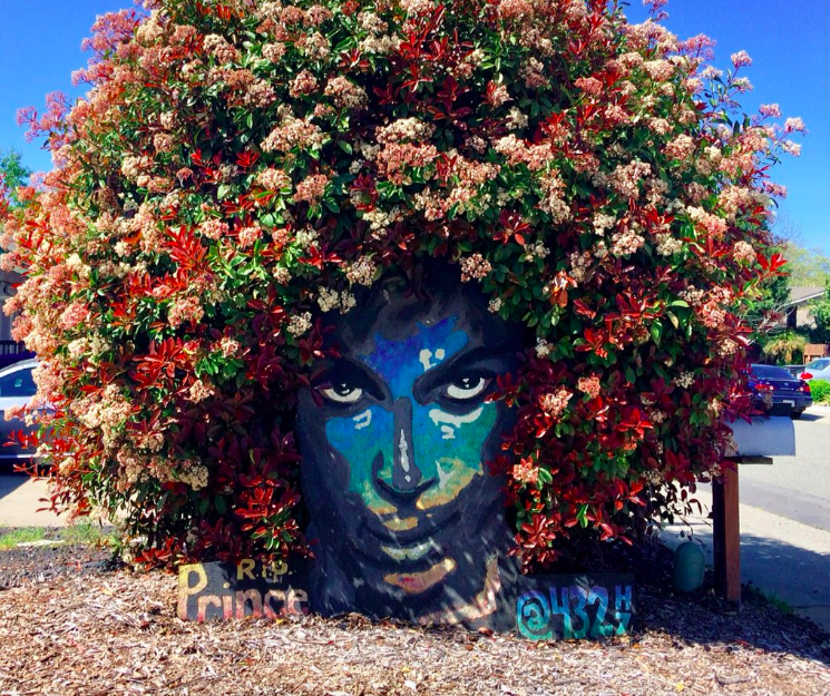 Prince mural blooms