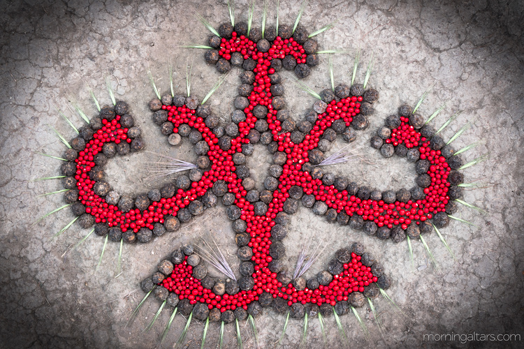 Image of Morning Altar cultivating wonder