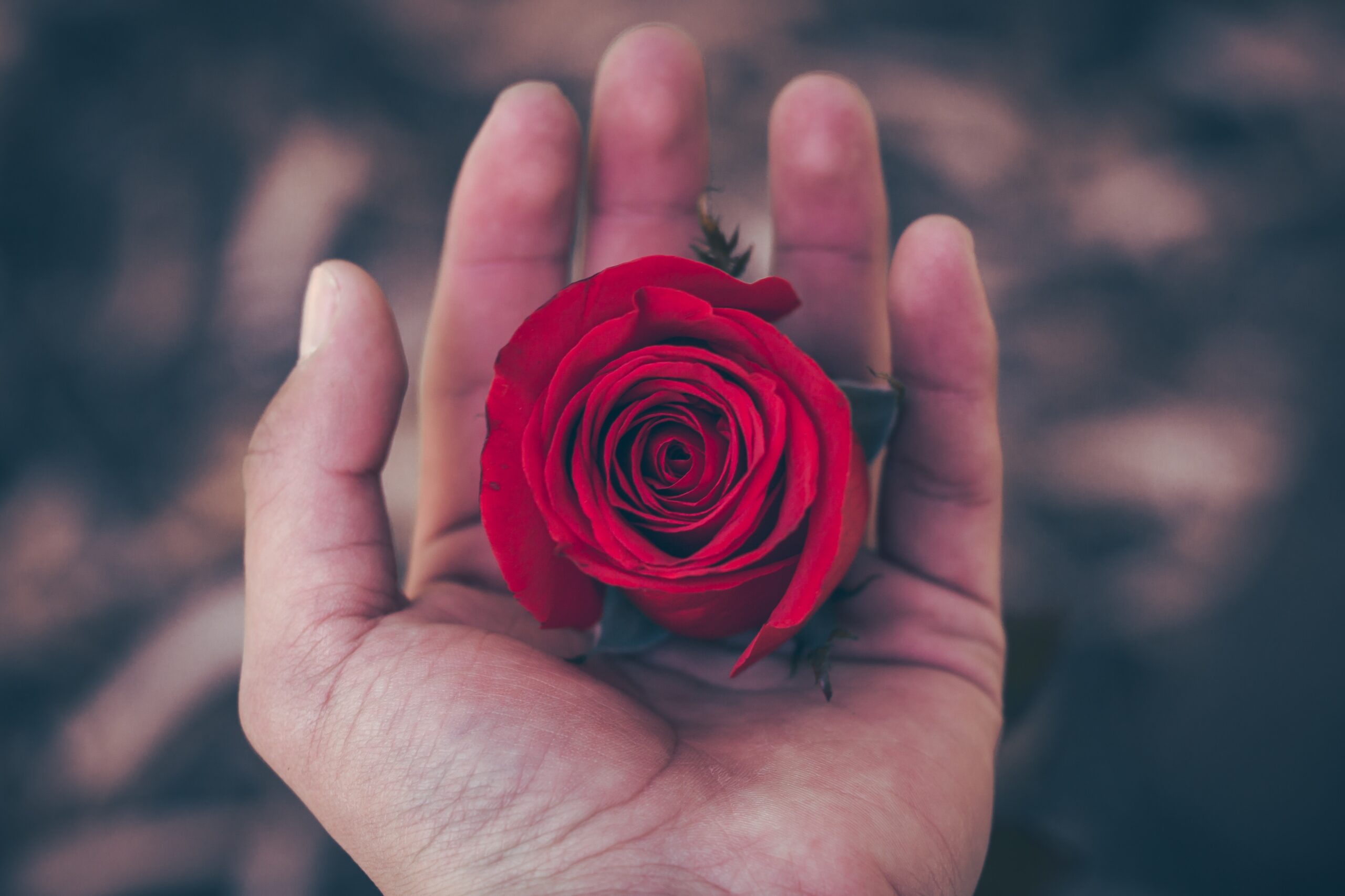 Our Monthly Tip: Say Goodbye with Flower PetalsA simple flower ceremony sends a loved one off with beauty and respect