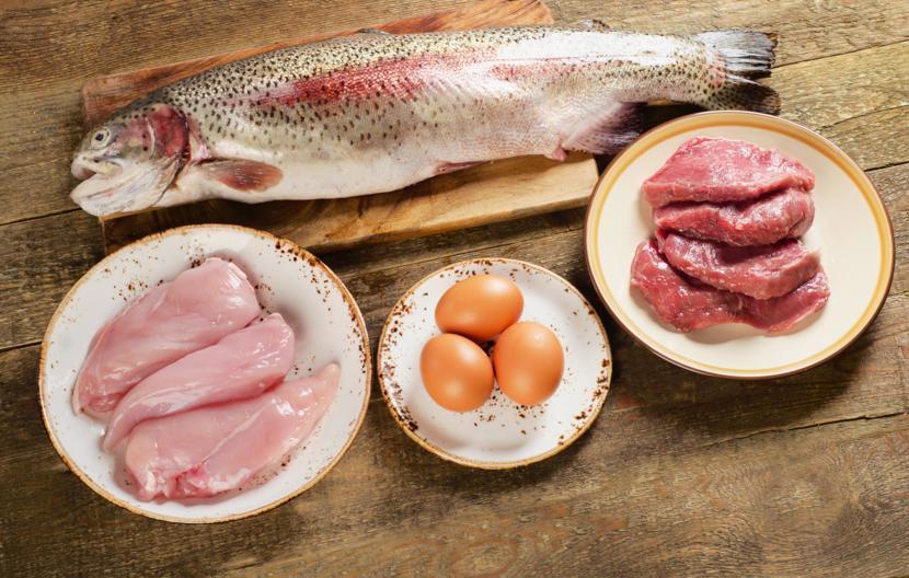 image of high protein foods that can be used to help prevent Alzheimer's Disease