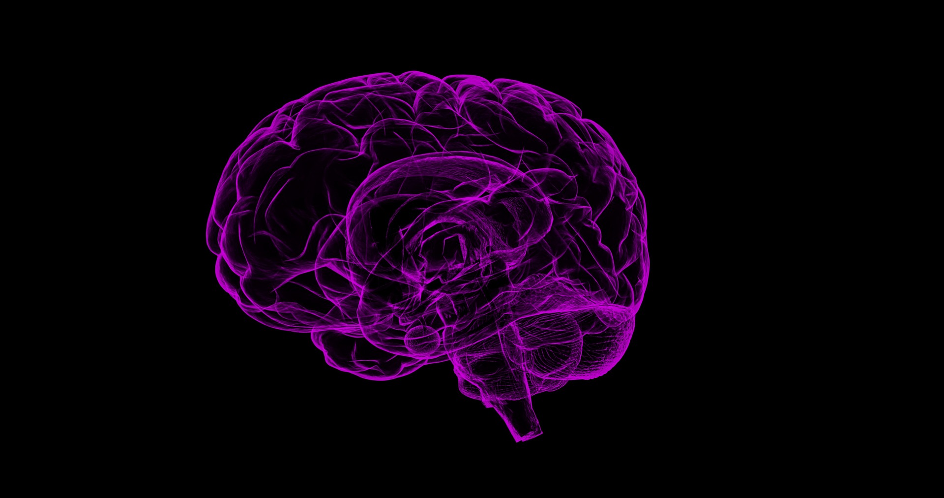 Computer generated image of a brain.