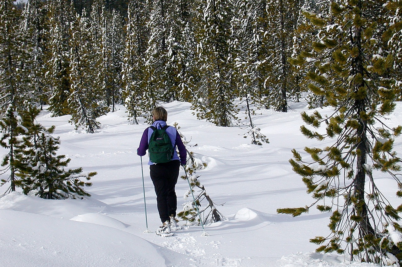 an image showing a woman in winter participating in regular exercise