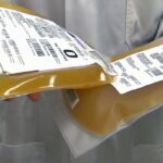 Medical professional holding two bags of plasma.