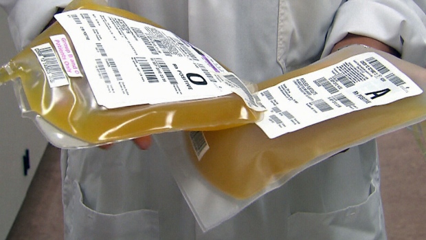 Medical professional holding two bags of plasma.