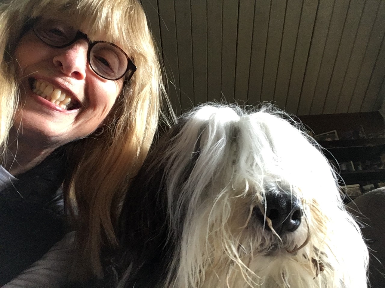 Social worker with dog