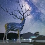 Reborn-art festival in Japan