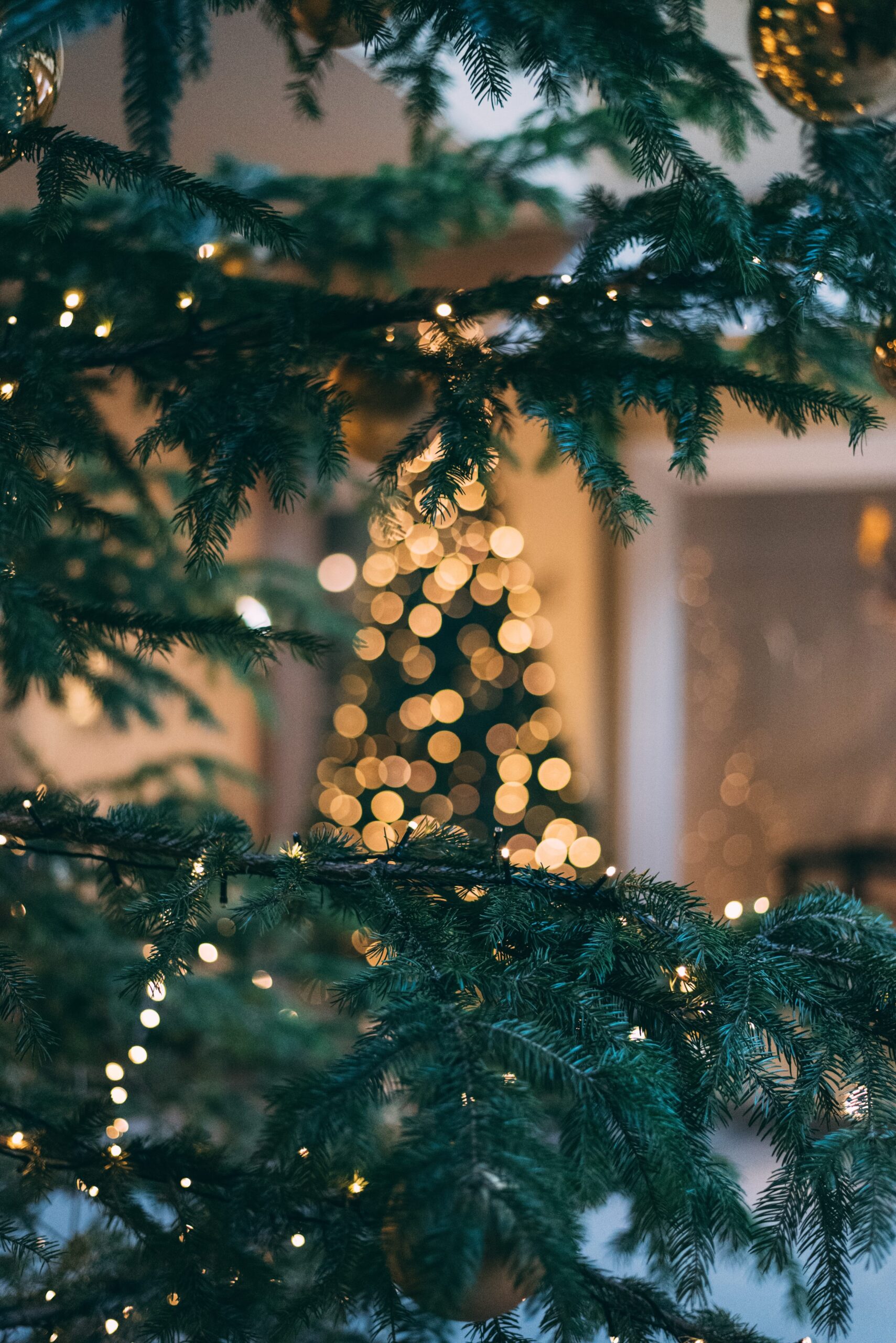 Wishing You and Your Loved Ones a Beautiful Holiday Season