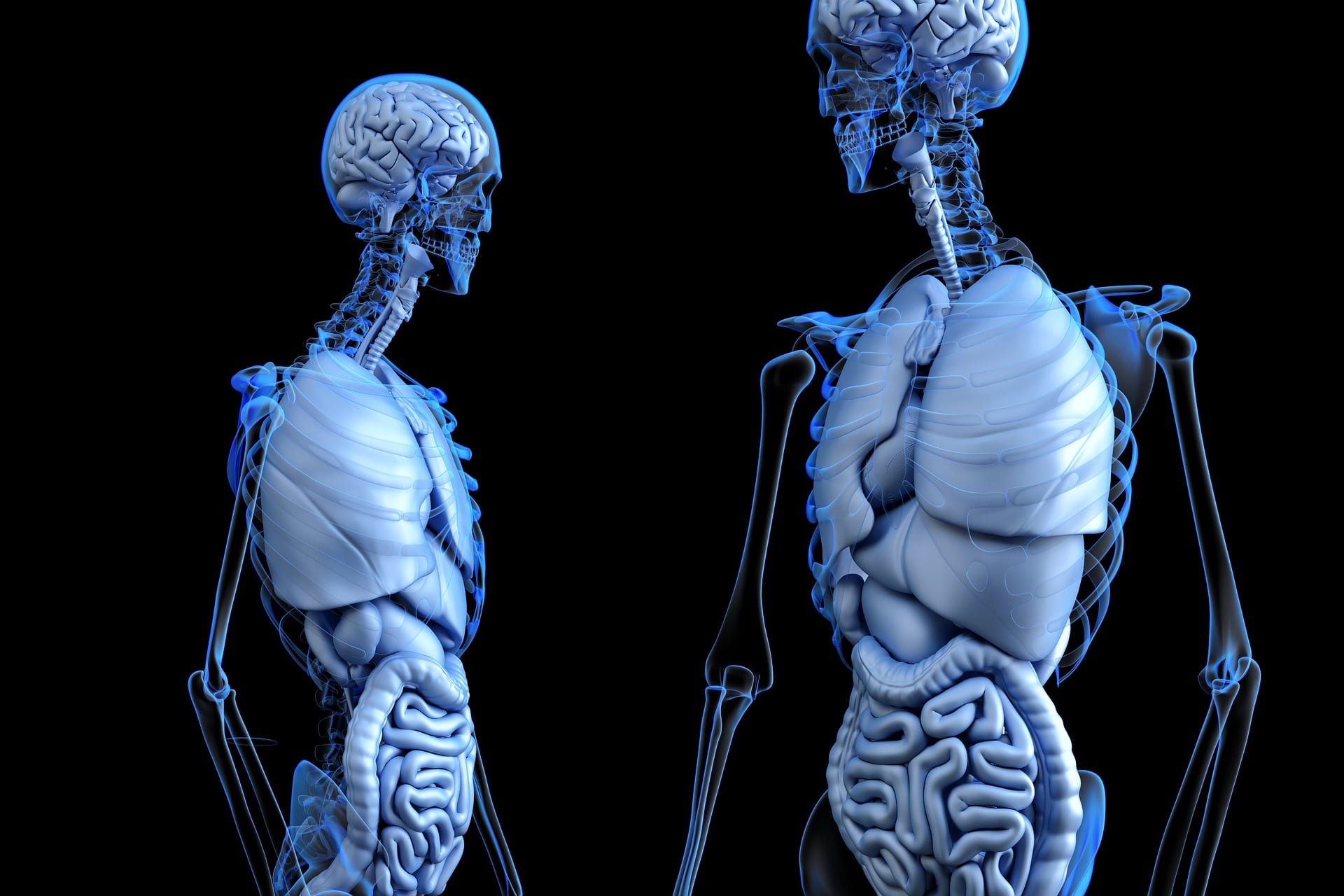 New Research Raises Questions Around Definition of Brain Death