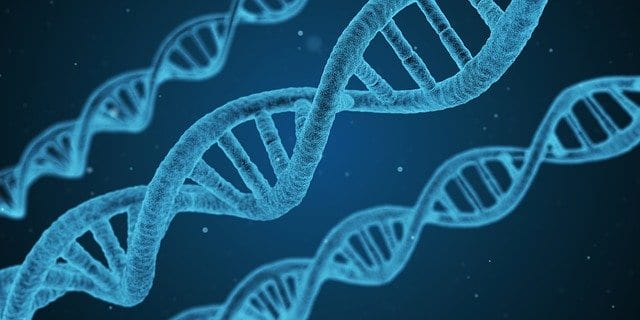 Three light blue DNA strands on a dark blue background, as analyzed in epigenetic tests