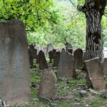 ancient chinese graveyard shows biodiversity