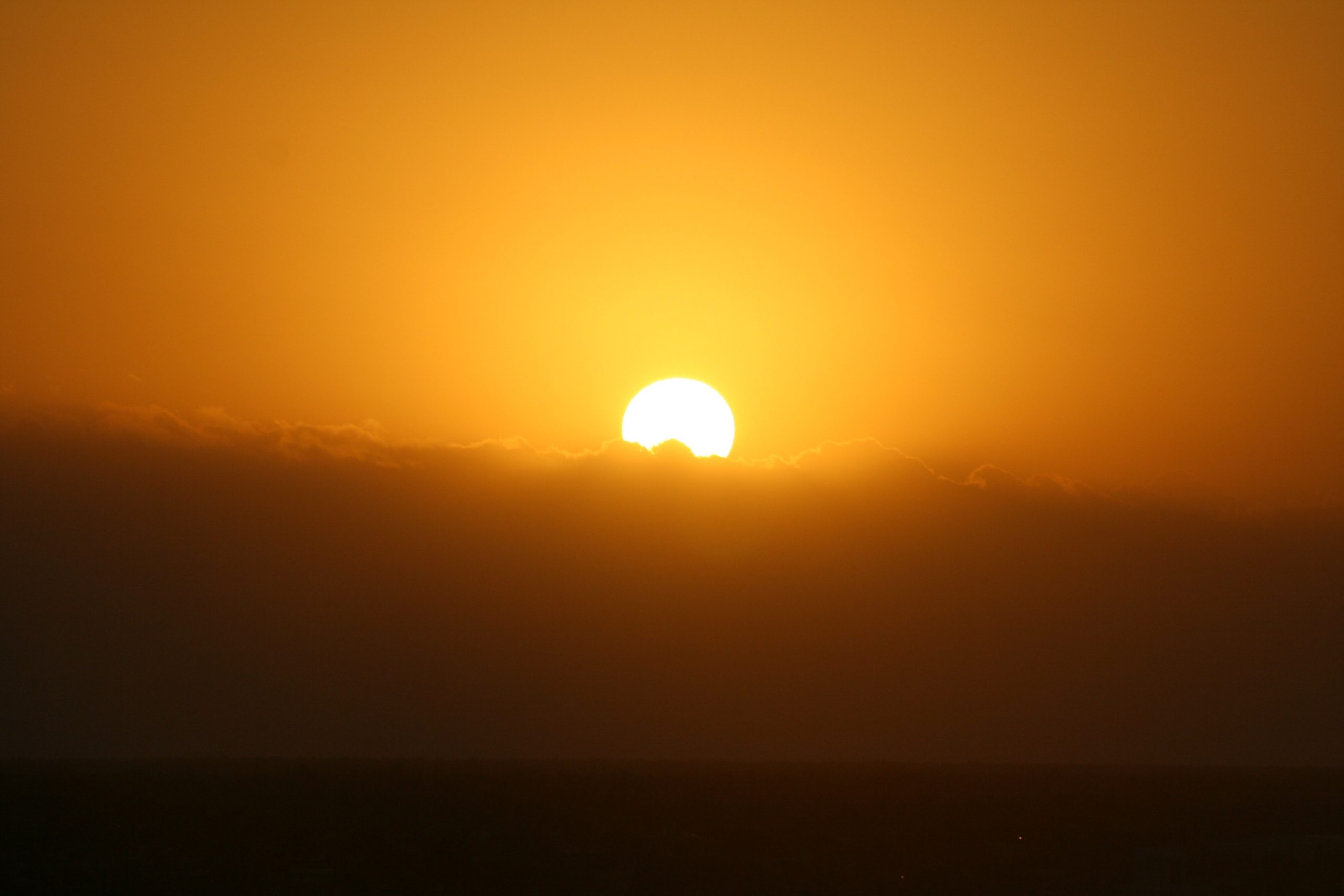 Study Attributes More Than One-Third of Heat-Related Deaths to Climate ChangeResearchers say ongoing heatwaves have a significant impact on public health