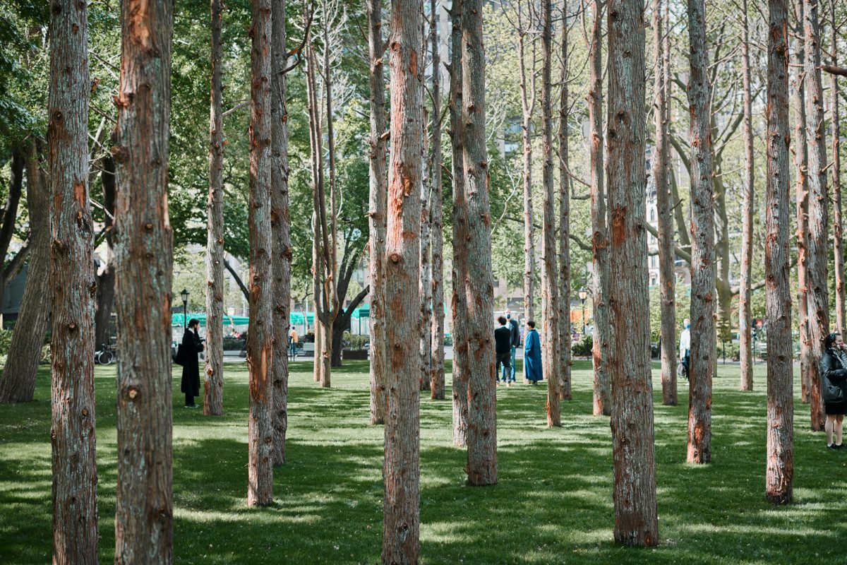 Maya Lin’s “Ghost Forest” Evokes Climate-Related LossInstallation artist explores the loss of vibrant forests to climate change