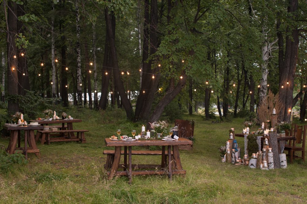 Our Monthly Tip: Create a Unique Woodland Memorial ServiceA fantastic idea for a nature lover