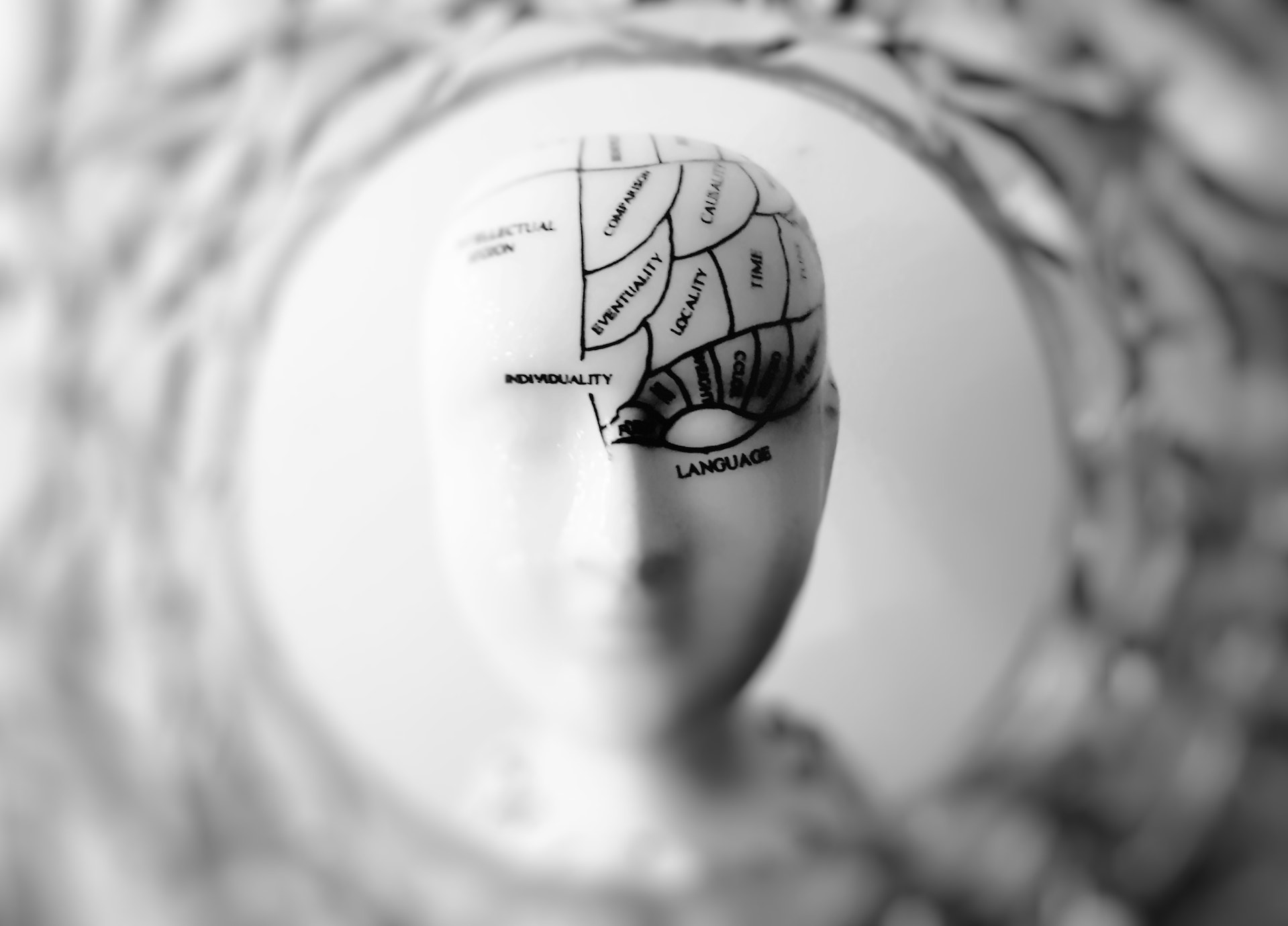 The Whys and Hows of Donating Your Brain To ScienceA legacy that benefits future generations