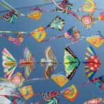 kites in the sky