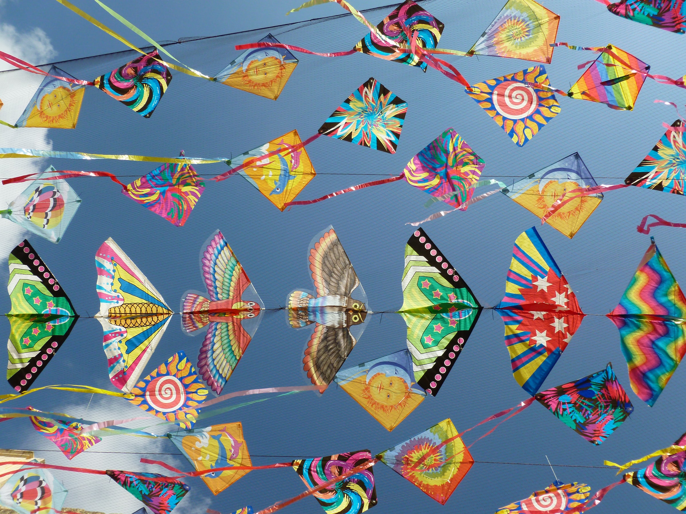 Our Monthly Tip: Go Fly A Kite!A colorful way to send messages to your loved one